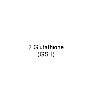 2 Glutathione (GSH)